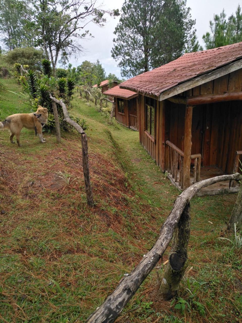 Cabanas Don Camilo Albergue De Montana Cabecera de Canas Exterior foto